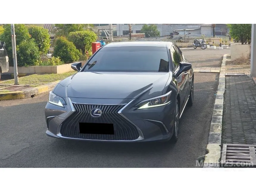 2019 Lexus ES 300h Ultra Luxury Sedan