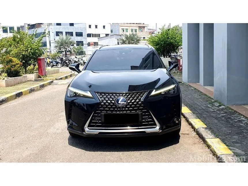 2022 Lexus UX 300e SUV